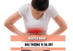 nguyên nhân gây đau thượng vị dạ dày