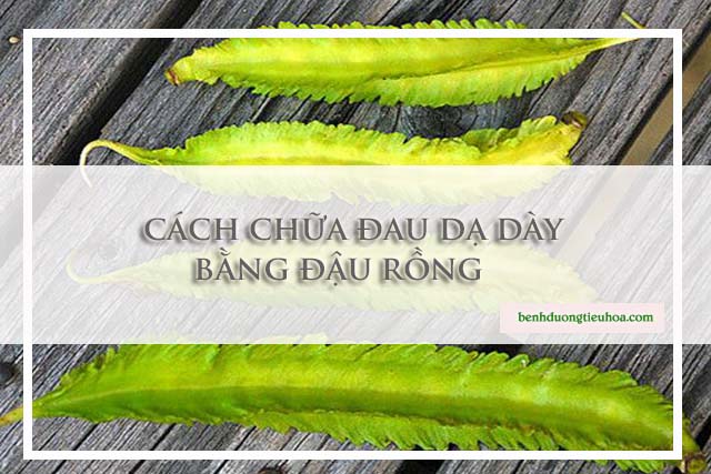 Cách chữa đau dạ dày bằng đậu rồng