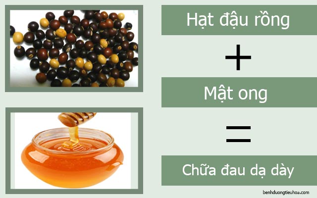 chữa đau dạ dày bằng đậu rồng và mật ong