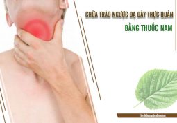 dùng thuốc nam chữa trào trược dạ dày thực quản