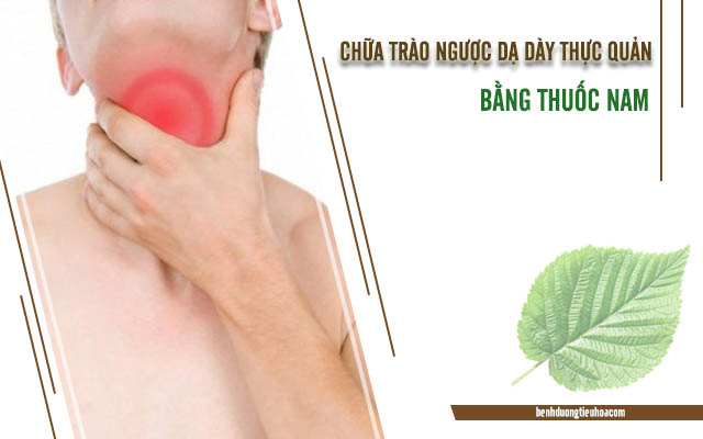 dùng thuốc nam chữa trào trược dạ dày thực quản