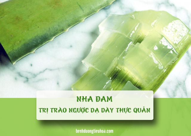 Chữa trào ngược dạ dày bằng nha đam