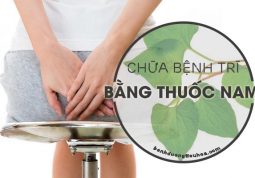 chữa bệnh trĩ bằng bài thuốc nam