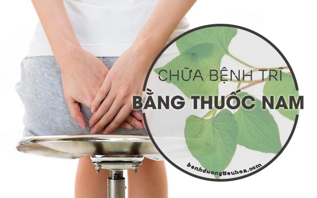 chữa bệnh trĩ bằng bài thuốc nam