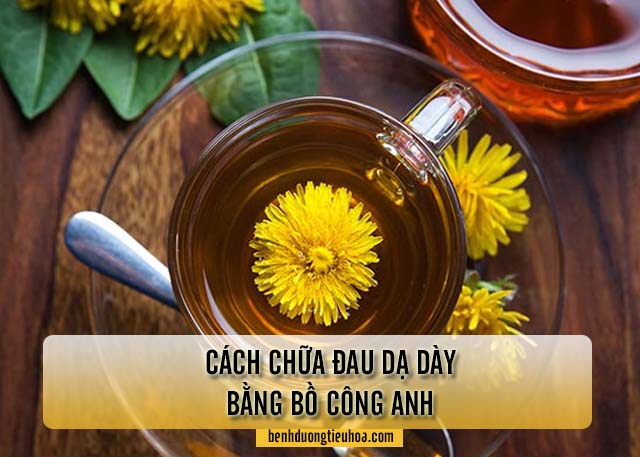 cách chữa đau dạ dày bằng bồ công anh