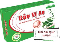 thuốc hỗ trợ chữa đau dạ dày Bảo Vị An