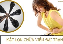 chữa viêm đại tràng bằng mật lợn