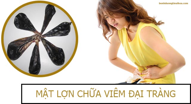 chữa viêm đại tràng bằng mật lợn