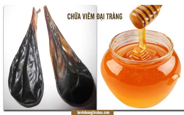 chữa viêm đại tràng bằng cao mật lợn