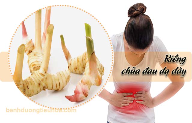 Cách chữa đau dạ dày bằng củ riềng