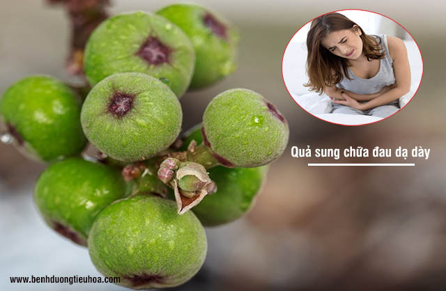 Cách chữa đau dạ dày bằng quả sung