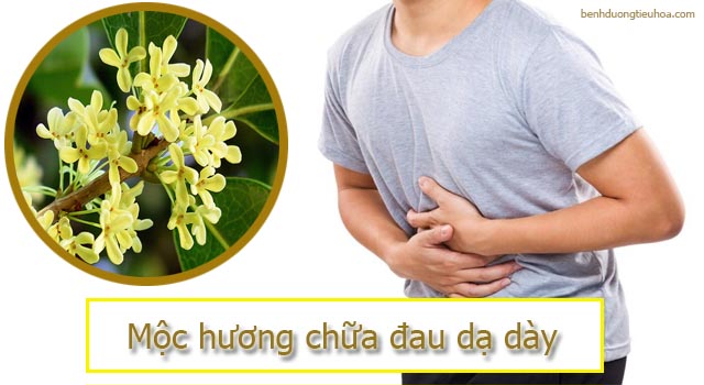 chữa đau dạ dày bằng mộc hương