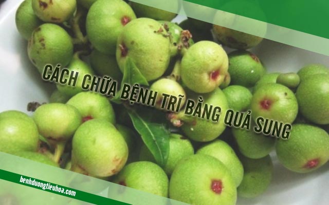 cách dùng quả sung chữa bệnh trĩ