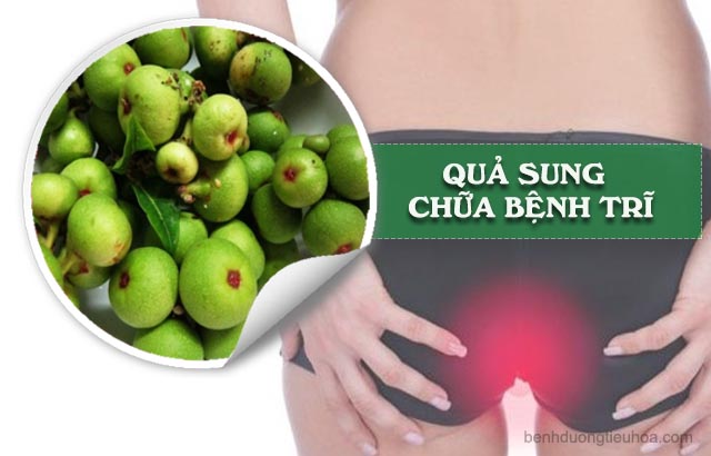 Cách chữa bệnh trĩ bằng quả sung