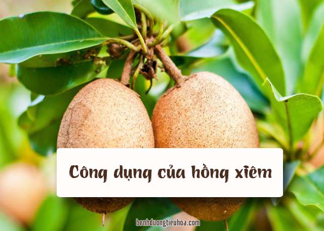 công dụng chữa bệnh của hồng xiêm