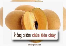 dùng hồng xiêm để chữa tiêu chảy