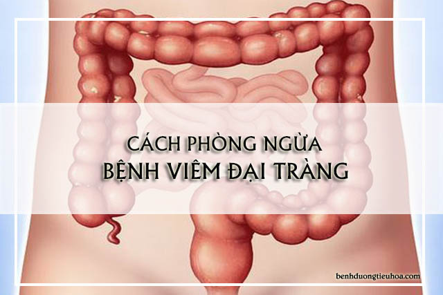 cách phòng ngừa viêm đại tràng