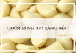 chữa bệnh trĩ bằng tỏi