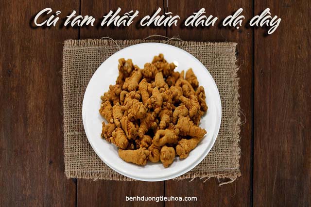 chữa đau dạ dày bằng củ tam thất