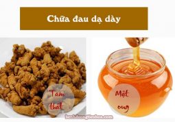 chữa đau dạ dày bằng củ tam thất và mật ong