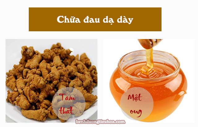 chữa đau dạ dày bằng củ tam thất và mật ong