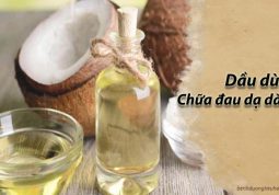 cách chữa đau dạ dày bằng dầu dừa