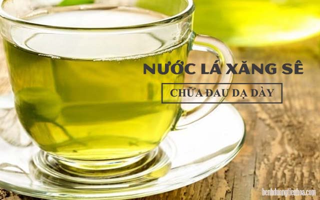 nước lá xăng sê chữa đau dạ dày