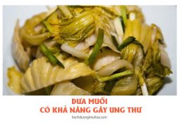 vì sao thực phẩm muối chua dễ gây ung thư dạ dày