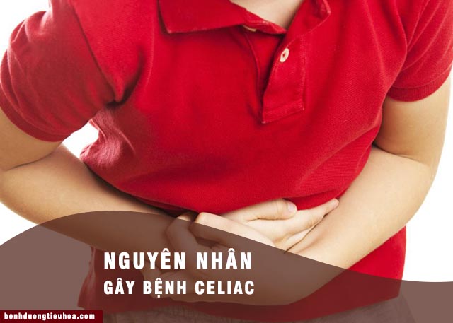 nguyên nhân gây ra chứng Celiac