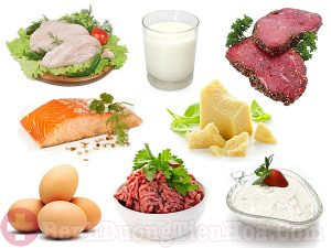  Thực phẩm giàu protein dành cho người bệnh ung thư dạ dày giai đoạn cuối