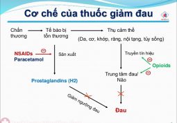 Thuốc giảm đau gây hại cho dạ dày