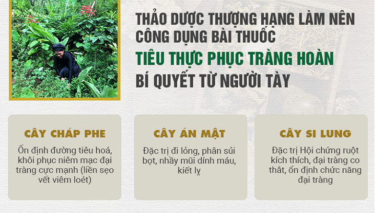 3 vị thuốc bí truyền chữa bệnh đại tràng của người Tày