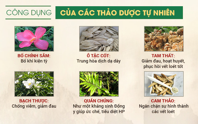 thanh phan bai thuoc so can binh vi tan