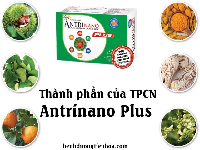 Thành phần Antrinano Plus