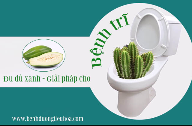 Chữa bệnh trĩ bằng đu đủ xanh