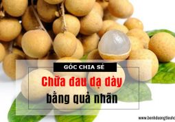 Tác dụng của nước ép nhãn với dạ dày