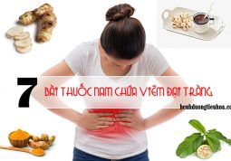 Chữa trị bệnh viêm đại tràng bằng cây thuốc nam