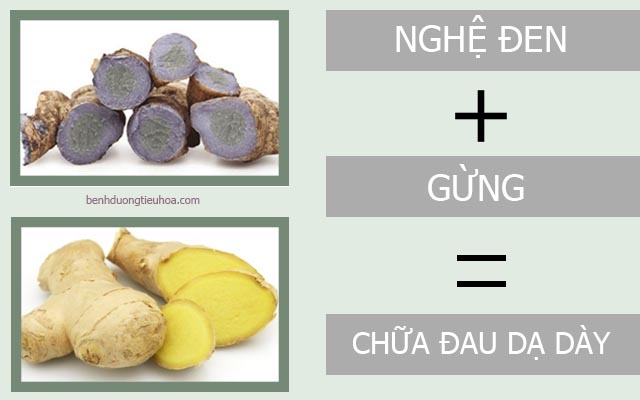 chữa đau dạ dày bằng nghệ đen và gừng