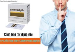 Tác dụng của thuốc dạ dày Gastropulgite,