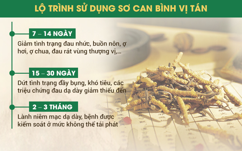 Lộ trình sử dụng Sơ can Bình vị tán.