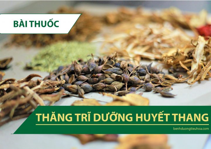 Bài thuốc chữa trĩ Thăng trĩ Dưỡng huyết thang điều trị bệnh trĩ nội