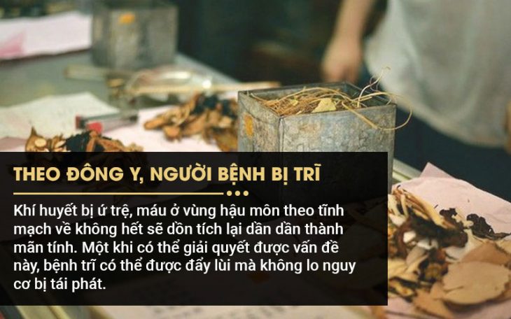 Căn nguyên gây ra bệnh trĩ theo quan niệm Đông y