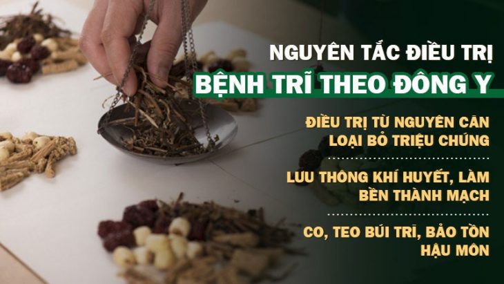 Điều trị trĩ ngoại theo Đông y để loại bỏ nguyên nhân gốc rễ gây ra bệnh