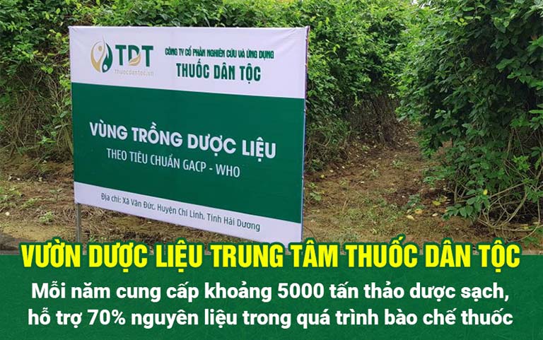 Các vườn dược liệu của Trung tâm Thuốc dân tộc đã được kiểm định về quy chuẩn, chất lượng