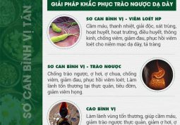 sơ-can-binh-vi-tan