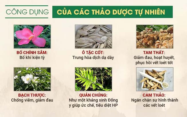 “Lục dược” được ca ngợi chữa bệnh dạ dày hiệu quả