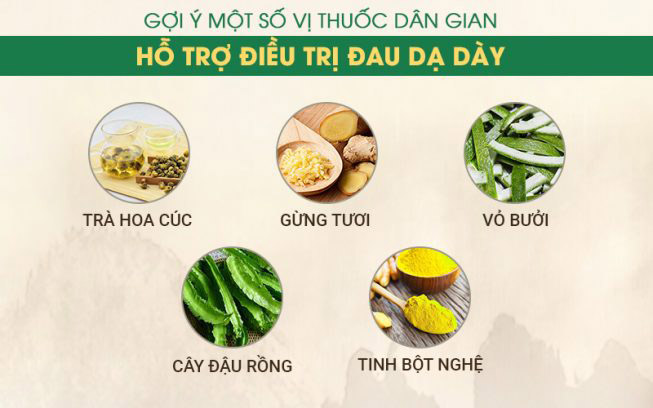 Bài thuốc dân gian chữa bệnh dạ dày hiệu quả