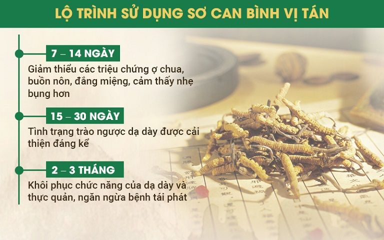 Lộ trình điều trị bằng Sơ can Bình vị tán