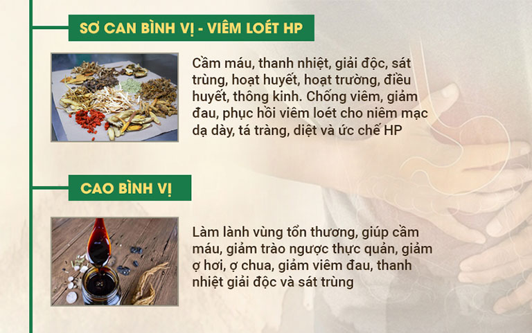 Sơ can Bình vị tán điều trị vi khuẩn HP