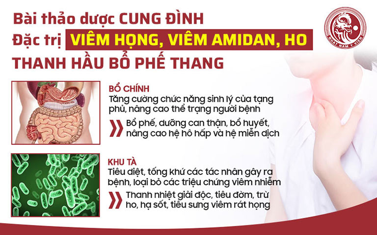 Cơ chế điều trị của Thanh hầu bổ phế thang